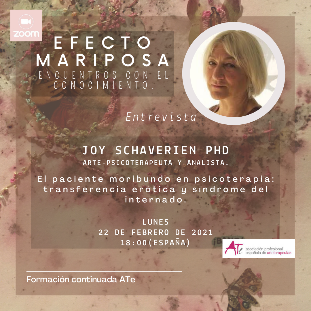 Efecto mariposa Joy Schaverien